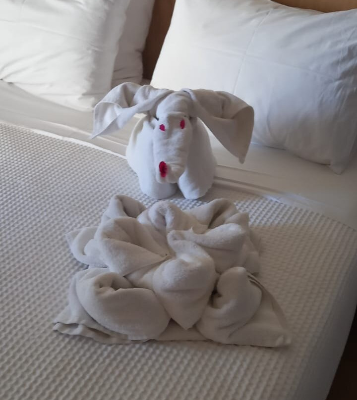 White Olive Elite Rethymno主图