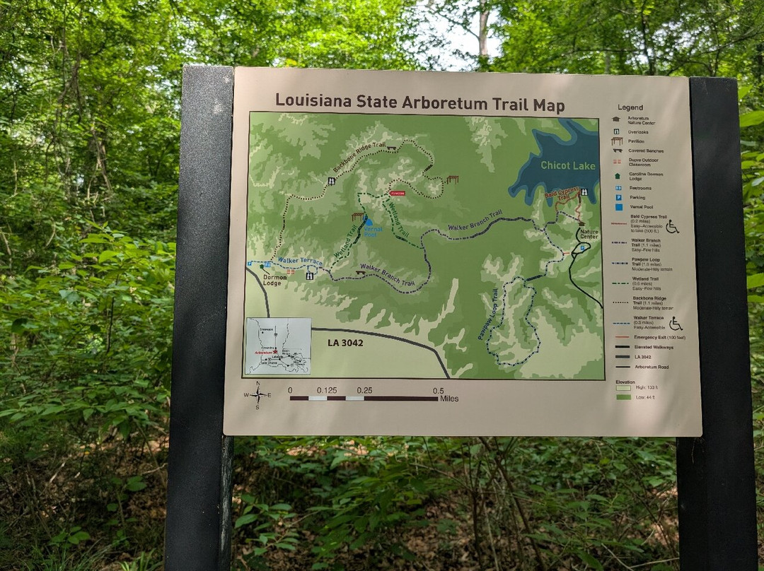 Louisiana State Arboretum景点图片