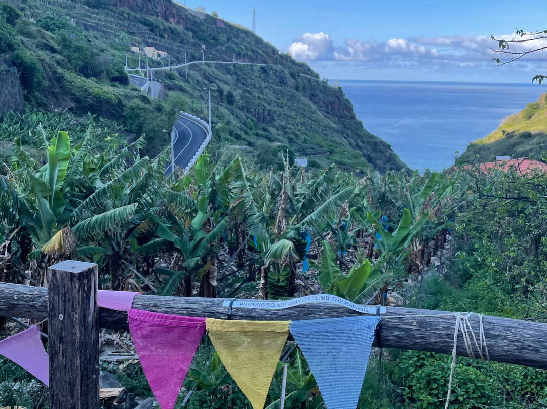 Banana Garden Glamping Madeira