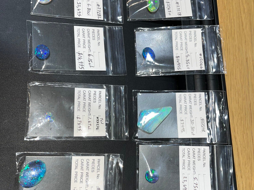 Opal Museum-布里斯班必去景点