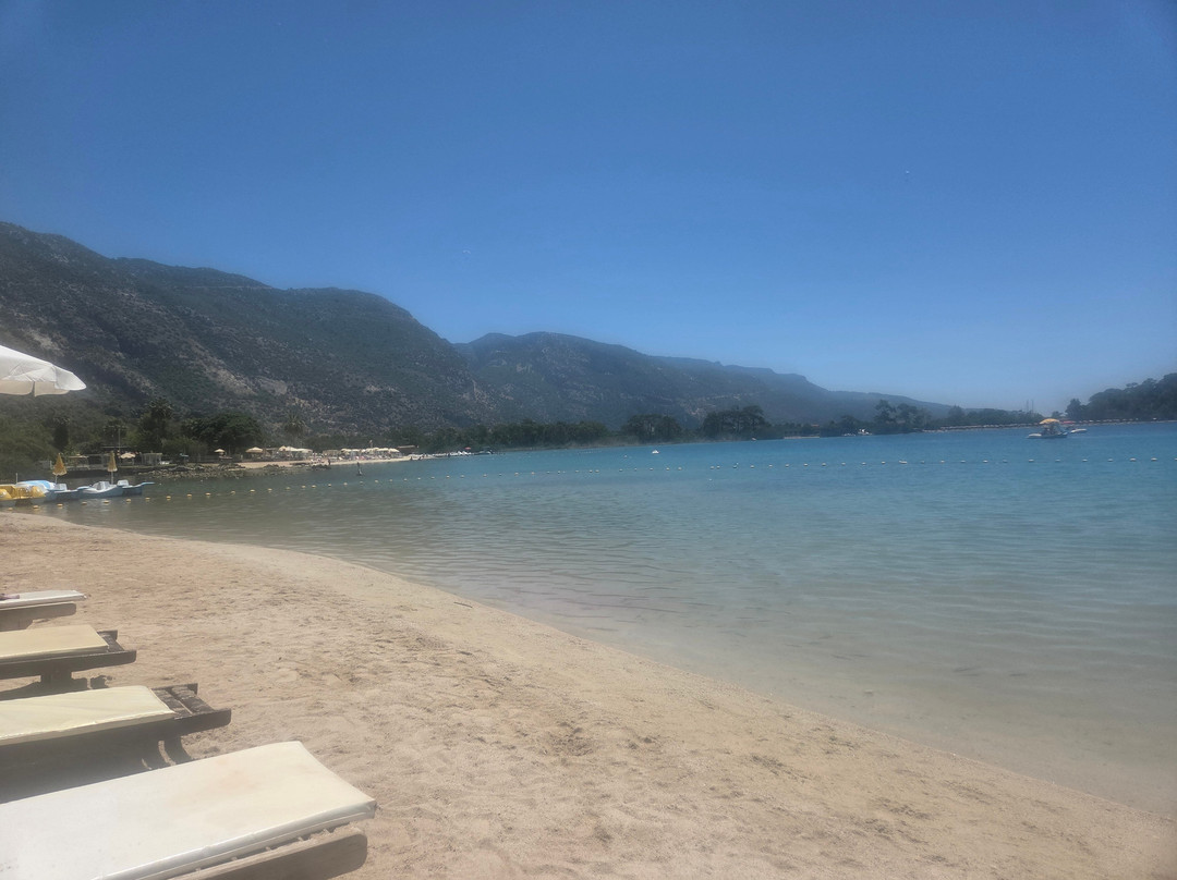 Billy's Beach景点图片