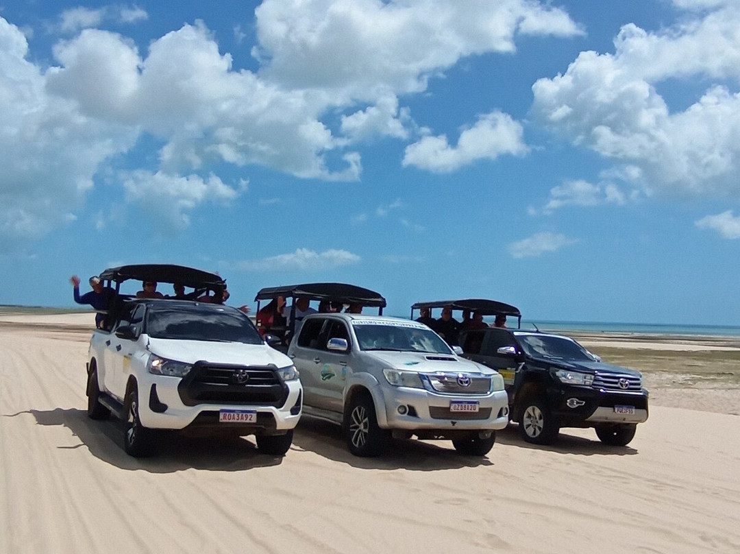 Tokotur In Jeri-杰里科科拉必去景点