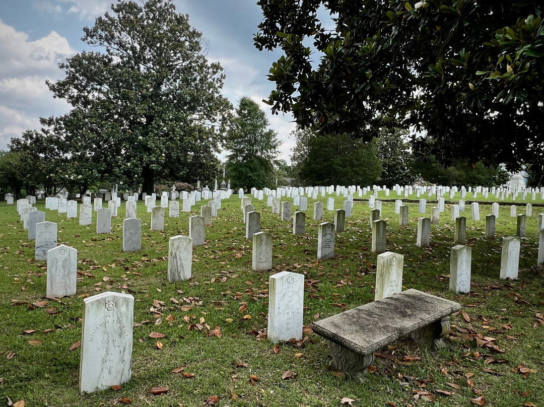 Historic Oakwood Cemetery景点图片