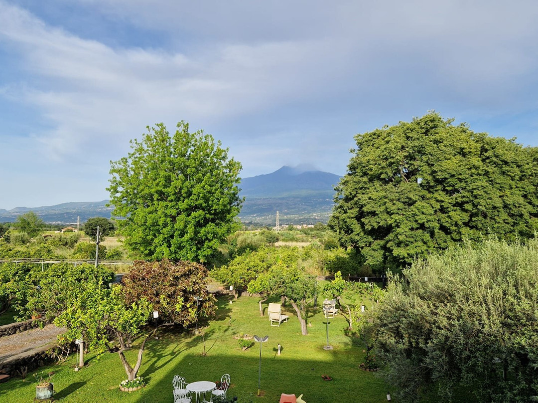 B&B Villa Maria Giovanna主图