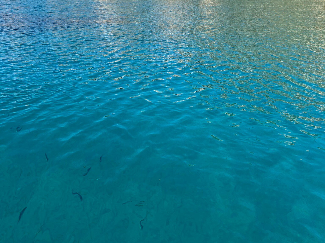 My Island La Maddalena in Barca a vela-La Maddalena必去景点