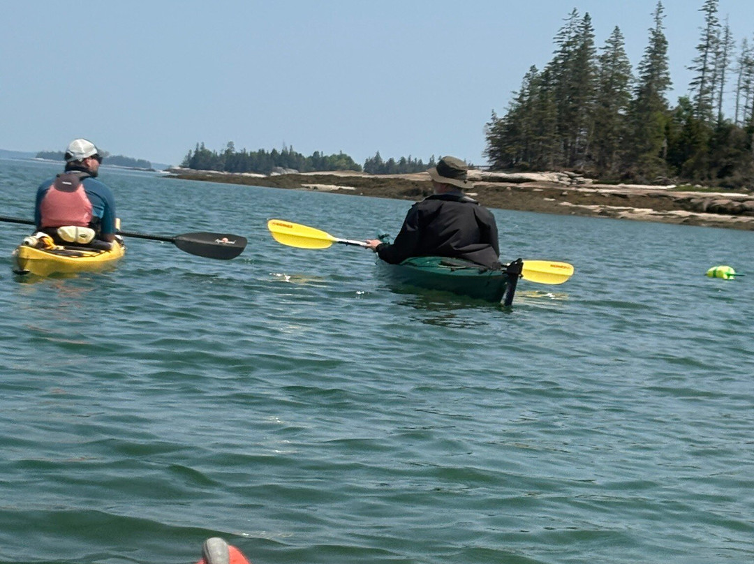 Osprey's Echo Sea Kayaking景点图片