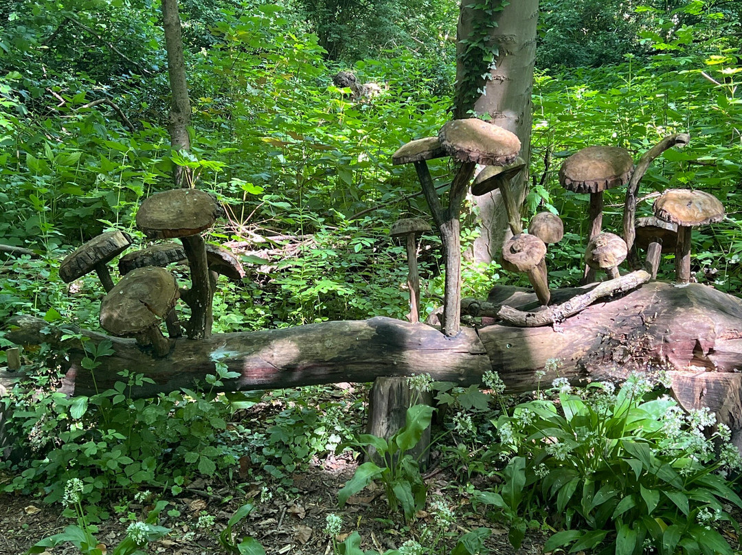 La Vie en Roses B&B主图