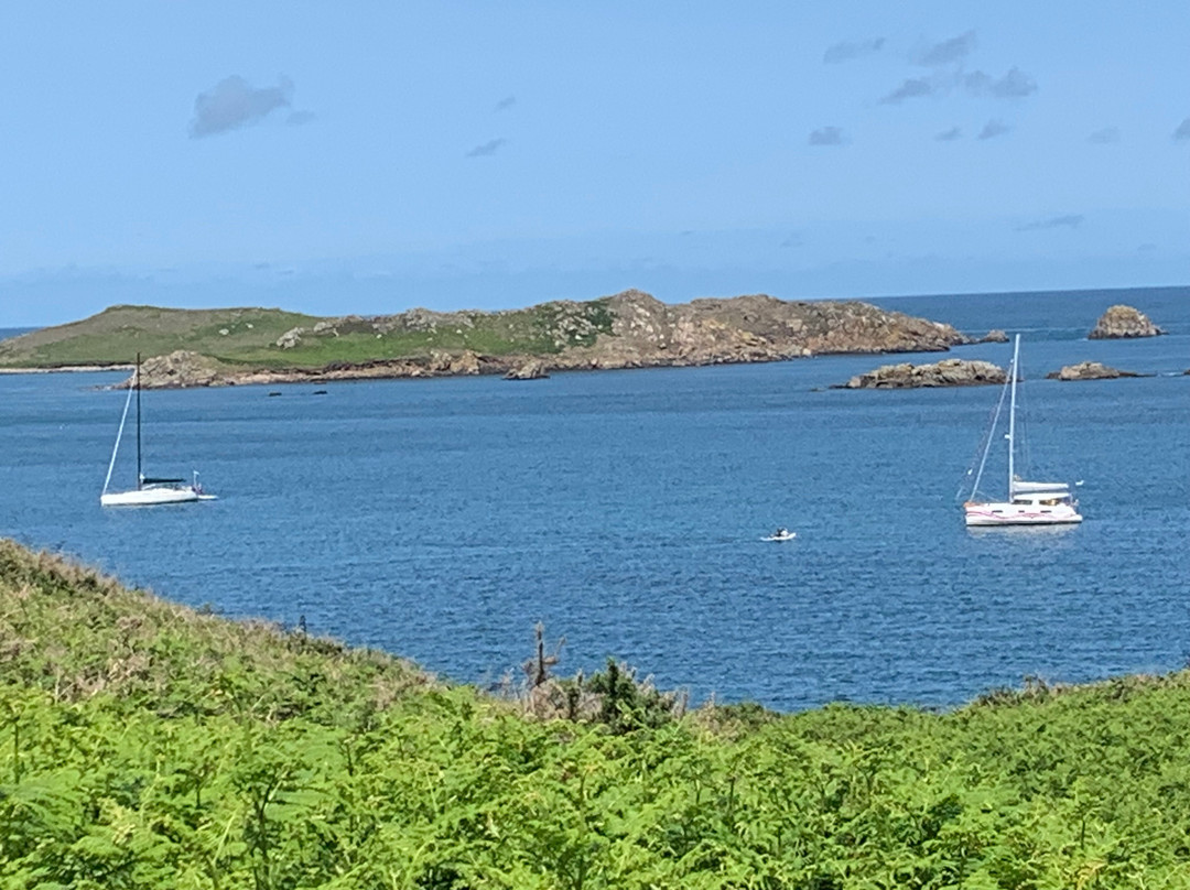 Seahorse Boat Trips-圣艾维斯必去景点