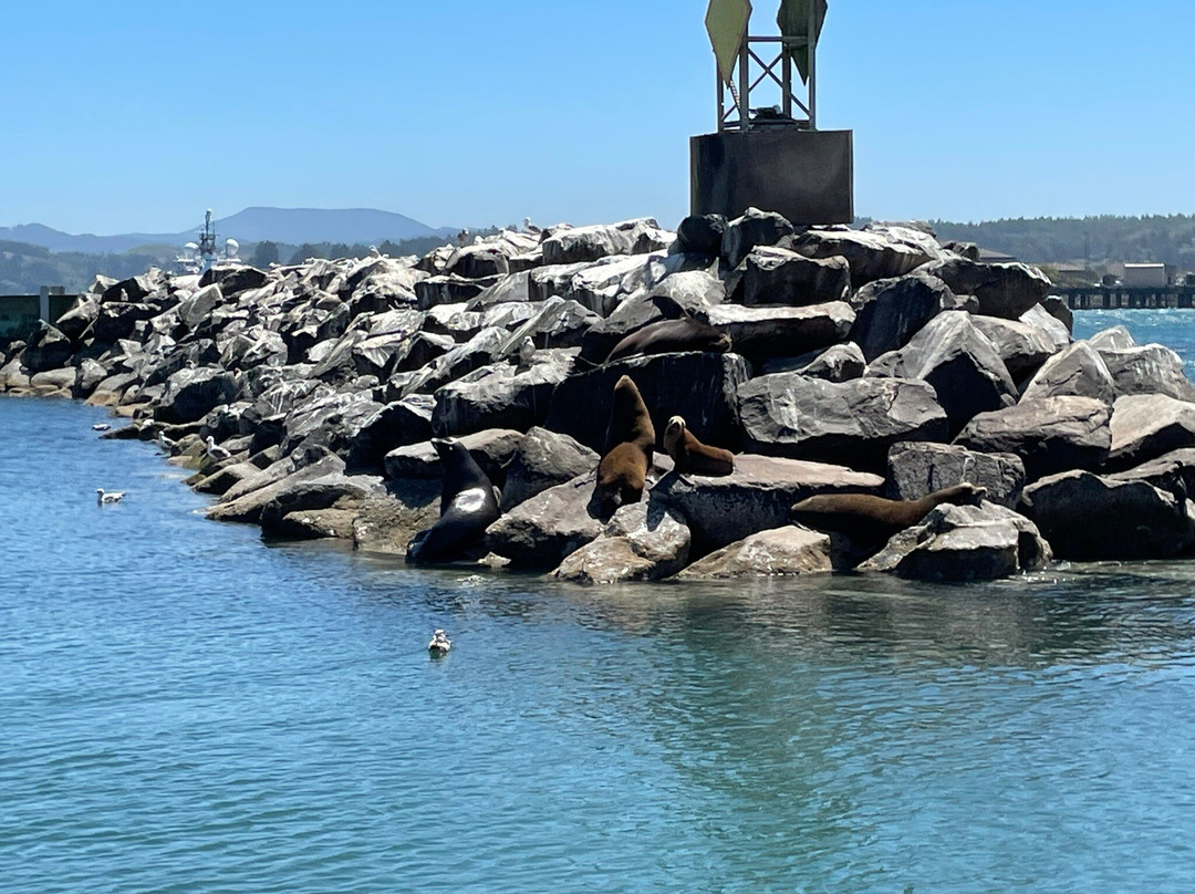 Marine Discovery Tours-纽波特必去景点