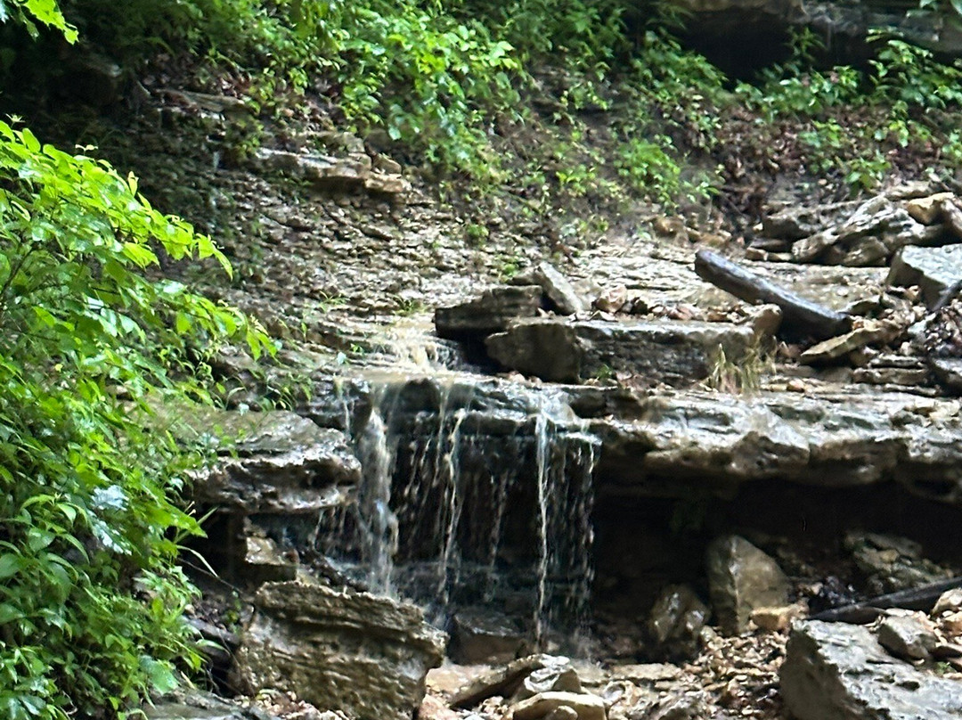 Southern Missouri Off Road Ranch SMORR-Seymour必去景点