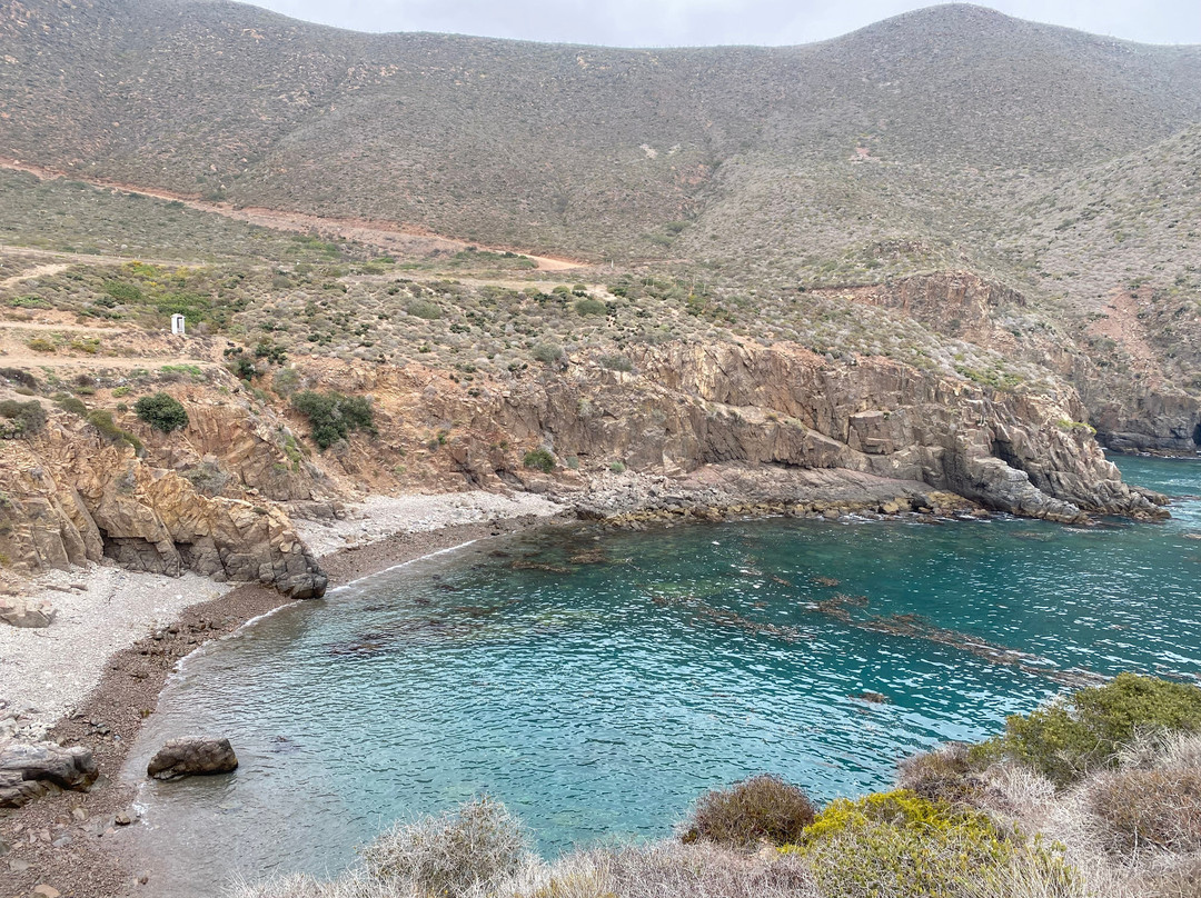 Baja Blue Diver-恩塞纳达必去景点