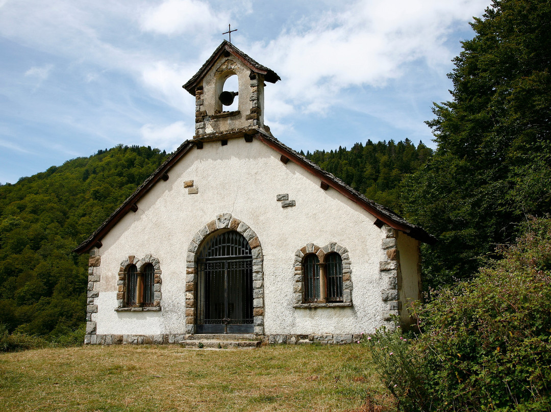 Selva de Irati-纳瓦拉必去景点