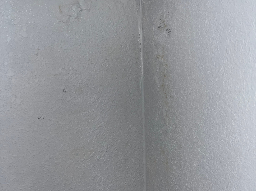 Best Western Plus Birmingham Inn & Suites主图