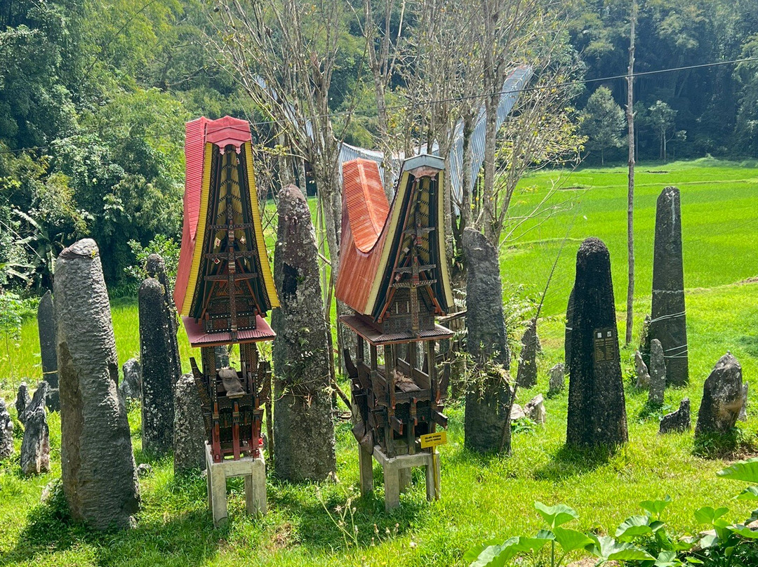 TORAJA TOUR WITH GUIDE SERVICE.景点图片