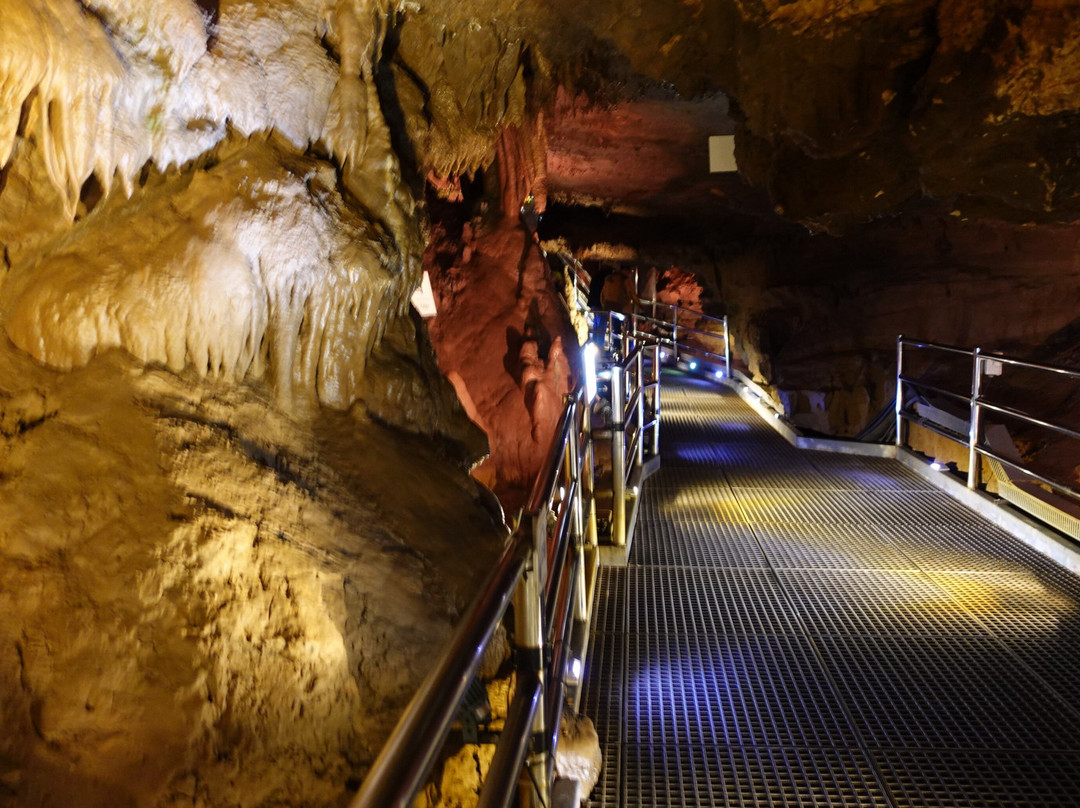 Cheongok Golden Bat Cave-东海市必去景点