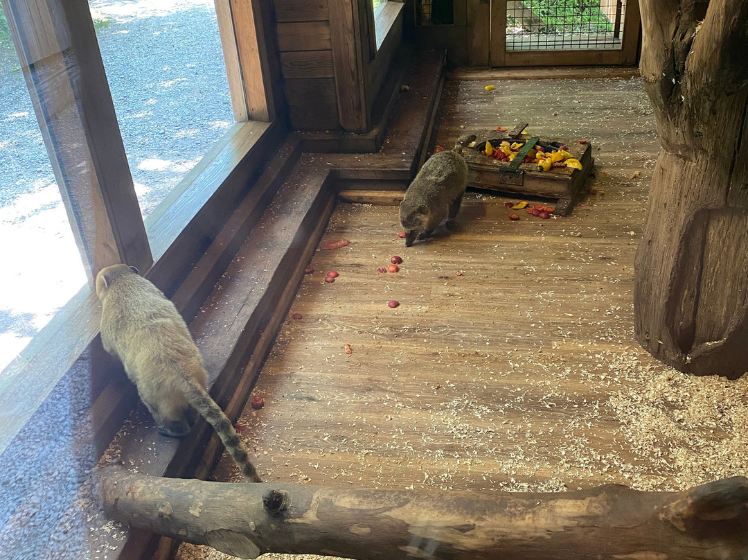 Raritätenzoo Ebbs-埃布斯必去景点