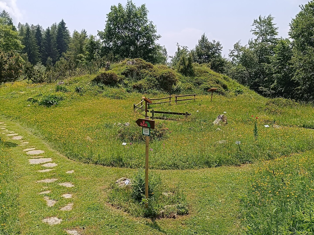 Giardino Botanico delle Alpi Orientali-Nevegal必去景点