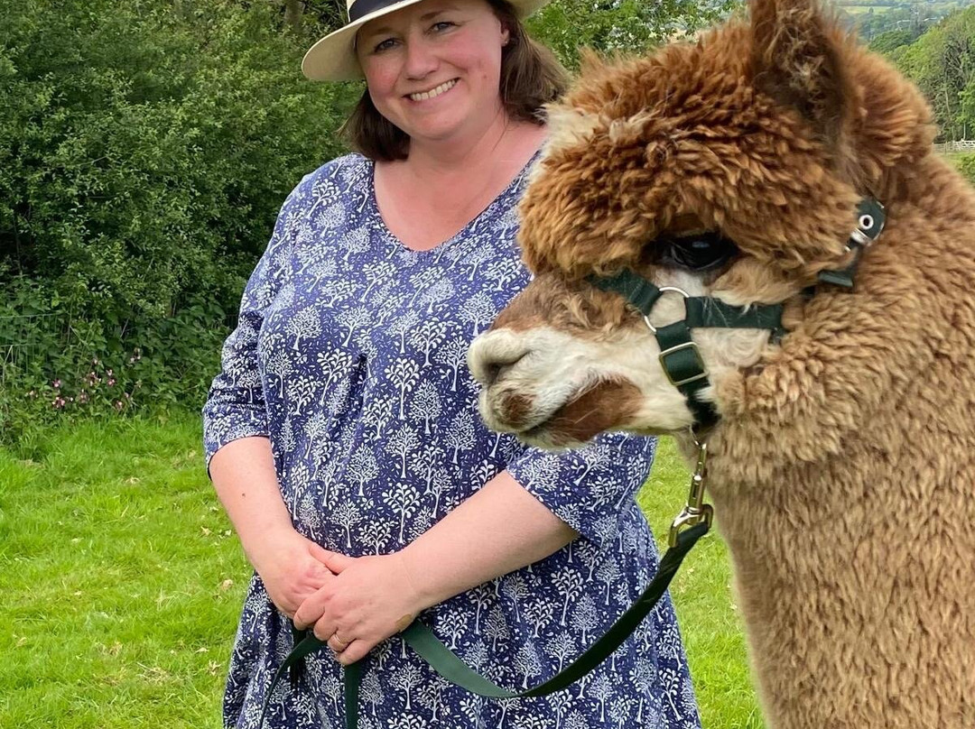 Popham Farm Alpaca Trekking-索尔塔什必去景点