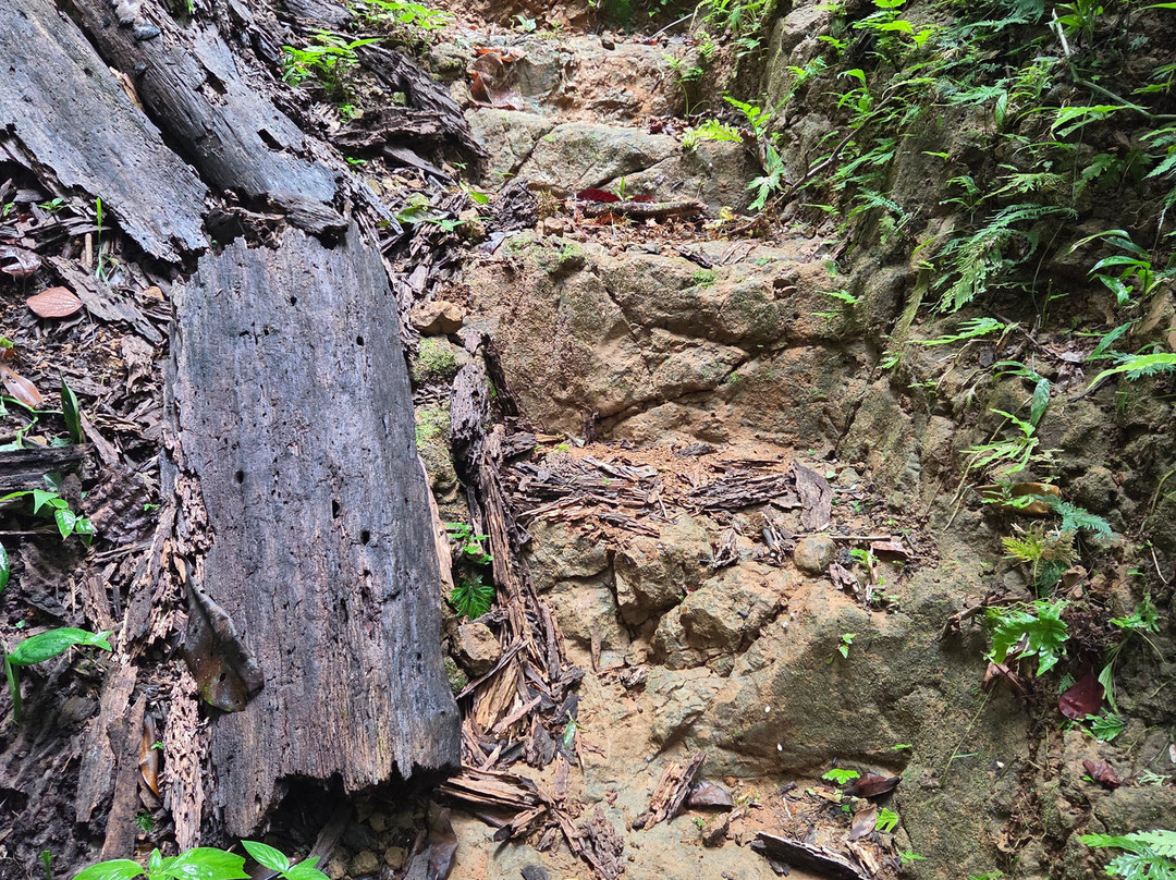 Pacheco Tours-德雷克湾必去景点