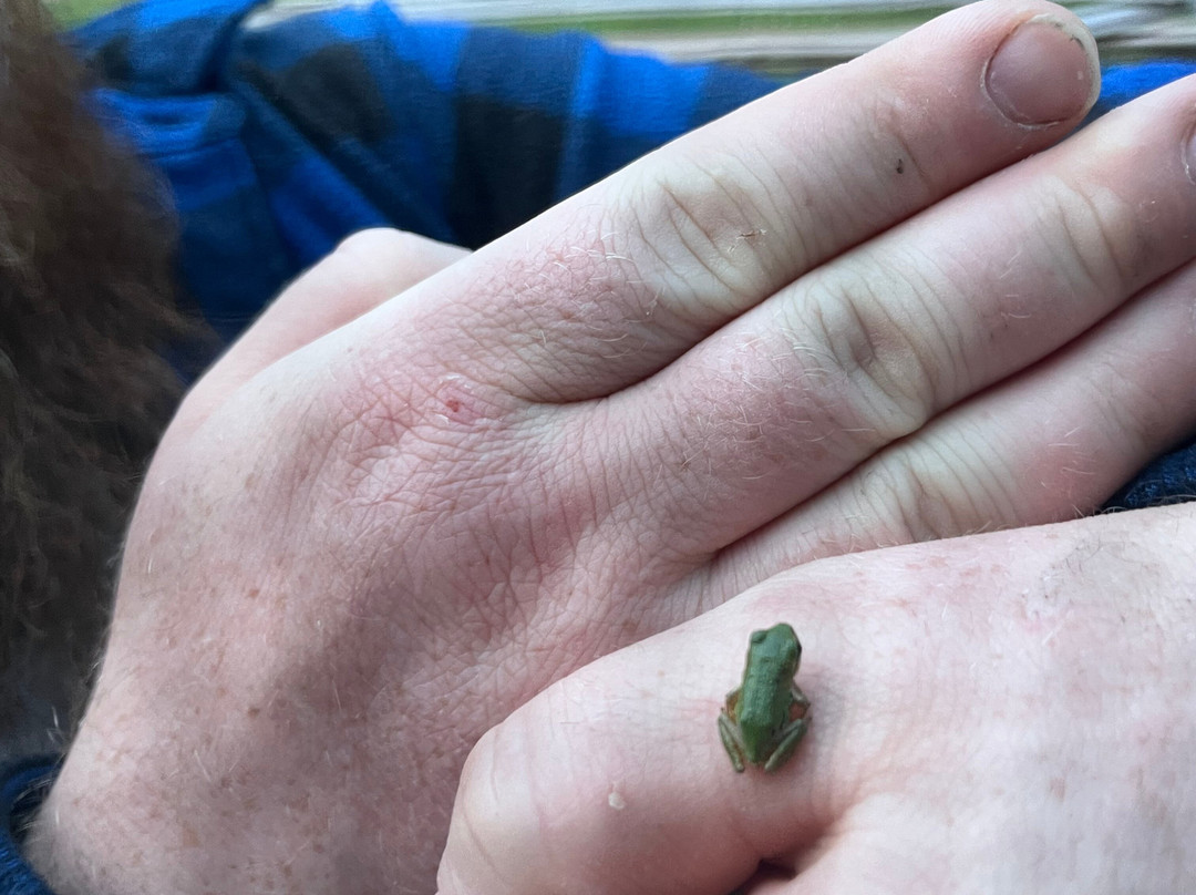 Fossil Beach Farm-Hornby Island必去景点