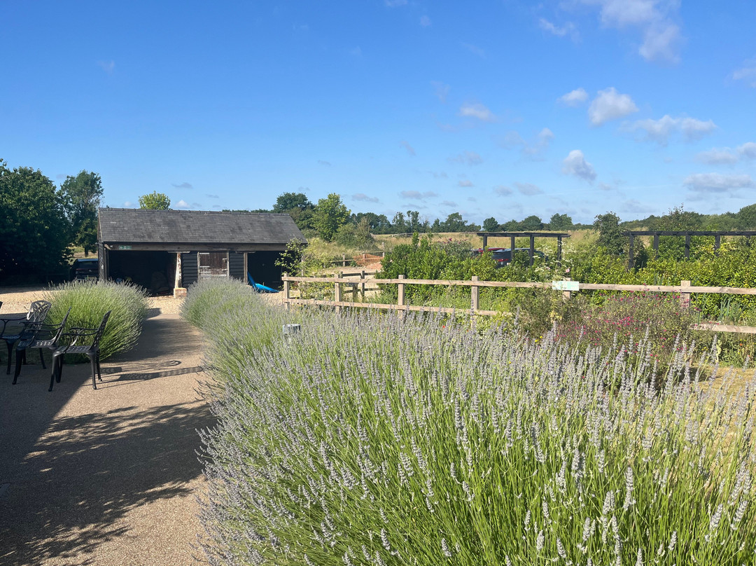 The Yard at Pringle Farm主图
