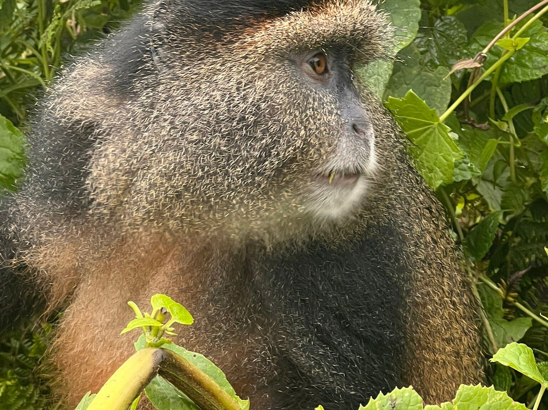Explore RwandaTours-吉佳利必去景点