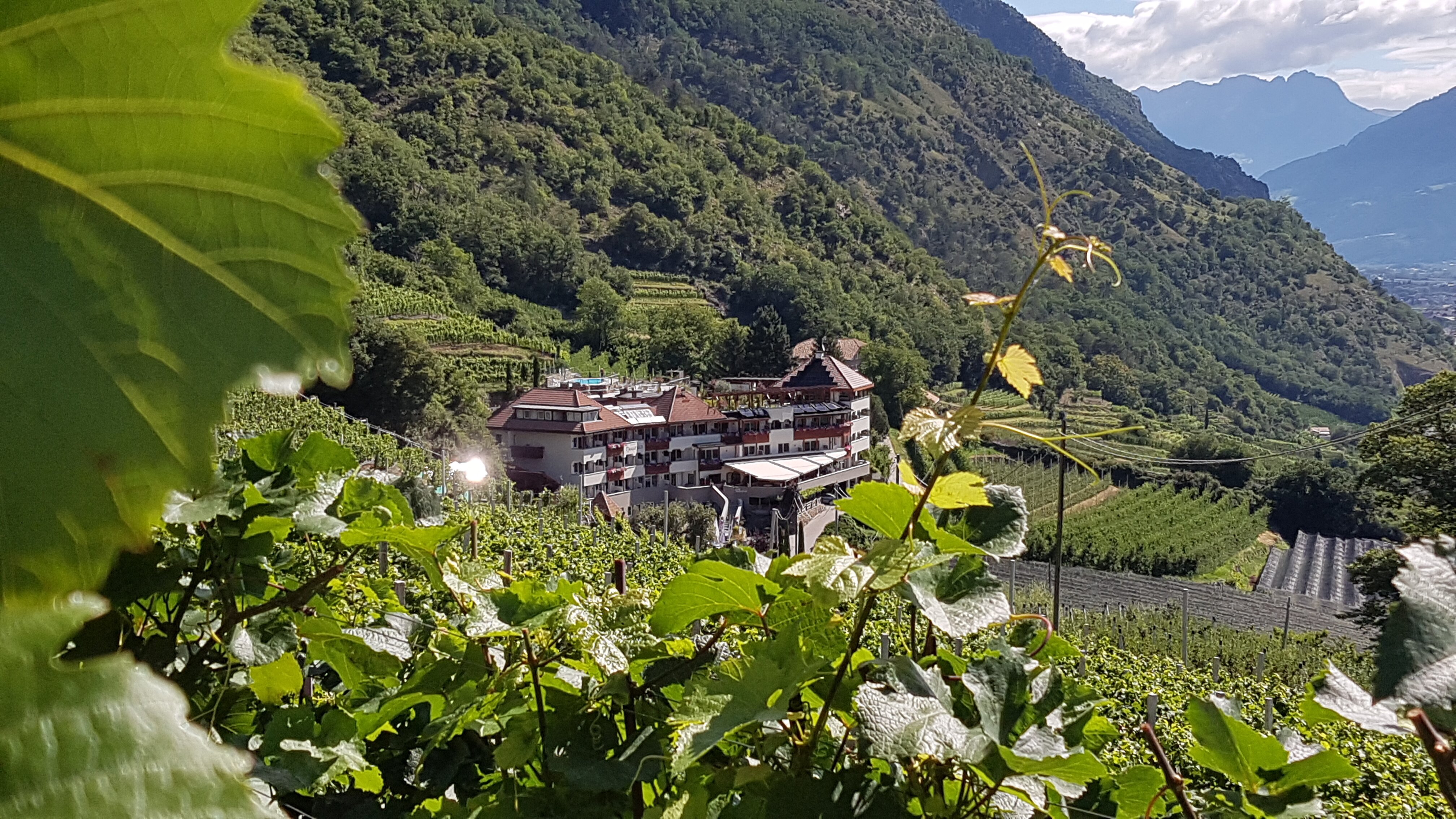 Panorama Hotel Himmelreich-浴室
