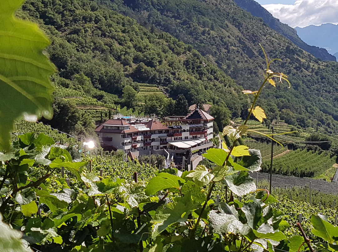 Panorama Hotel Himmelreich主图