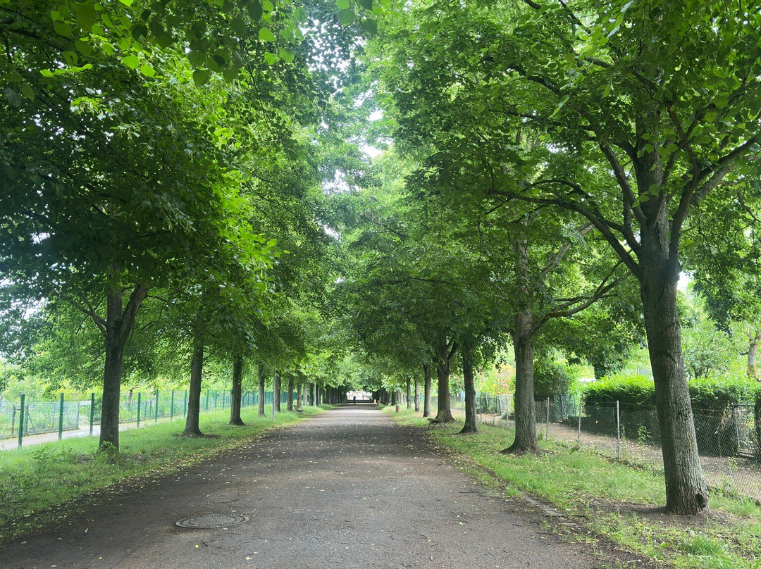 Schloss Heusenstamm-Heusenstamm必去景点