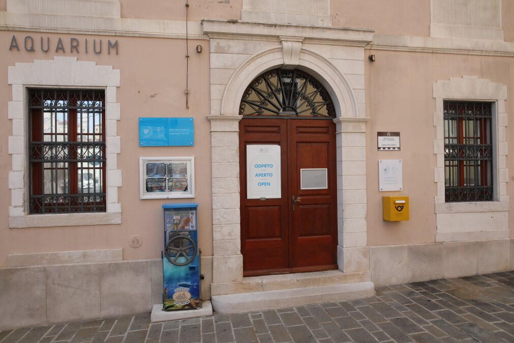 Aquarium Piran-皮兰必去景点