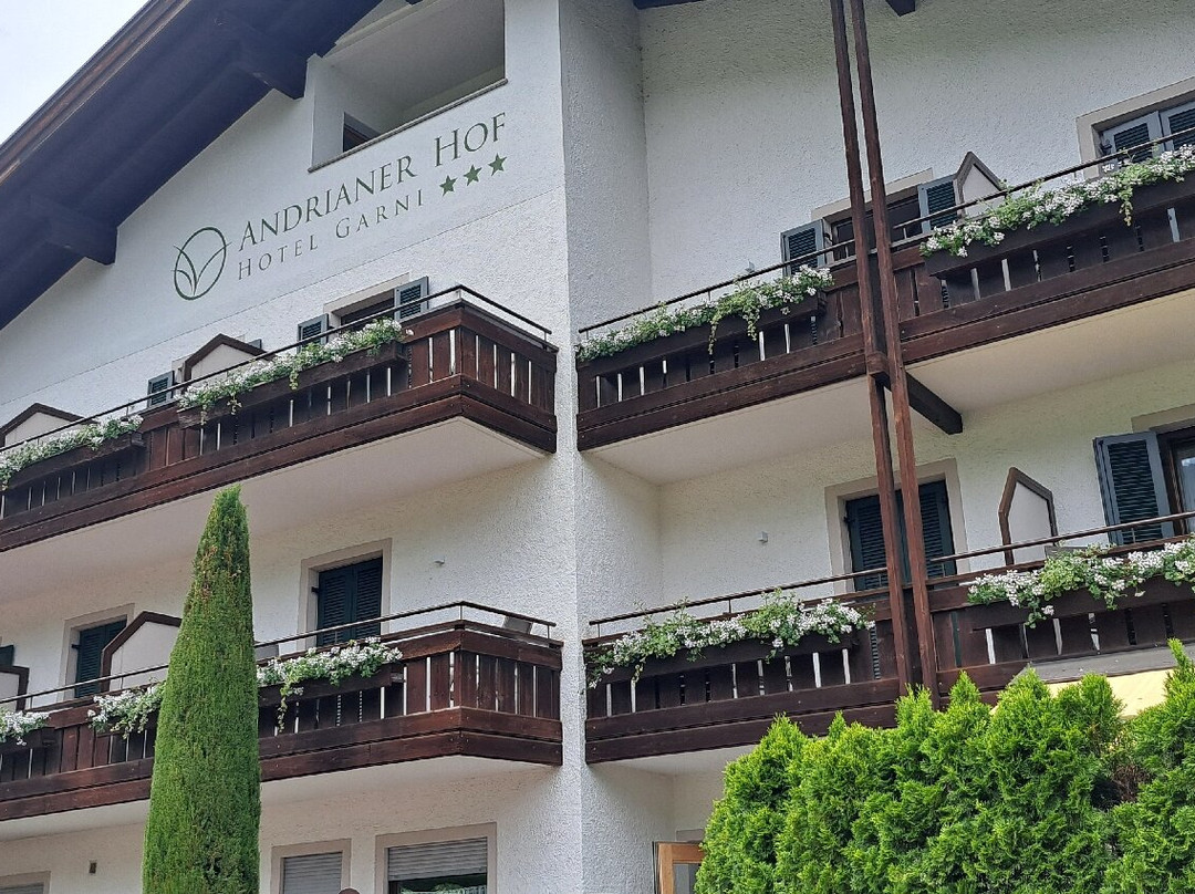 Hotel Garni Andrianerhof主图