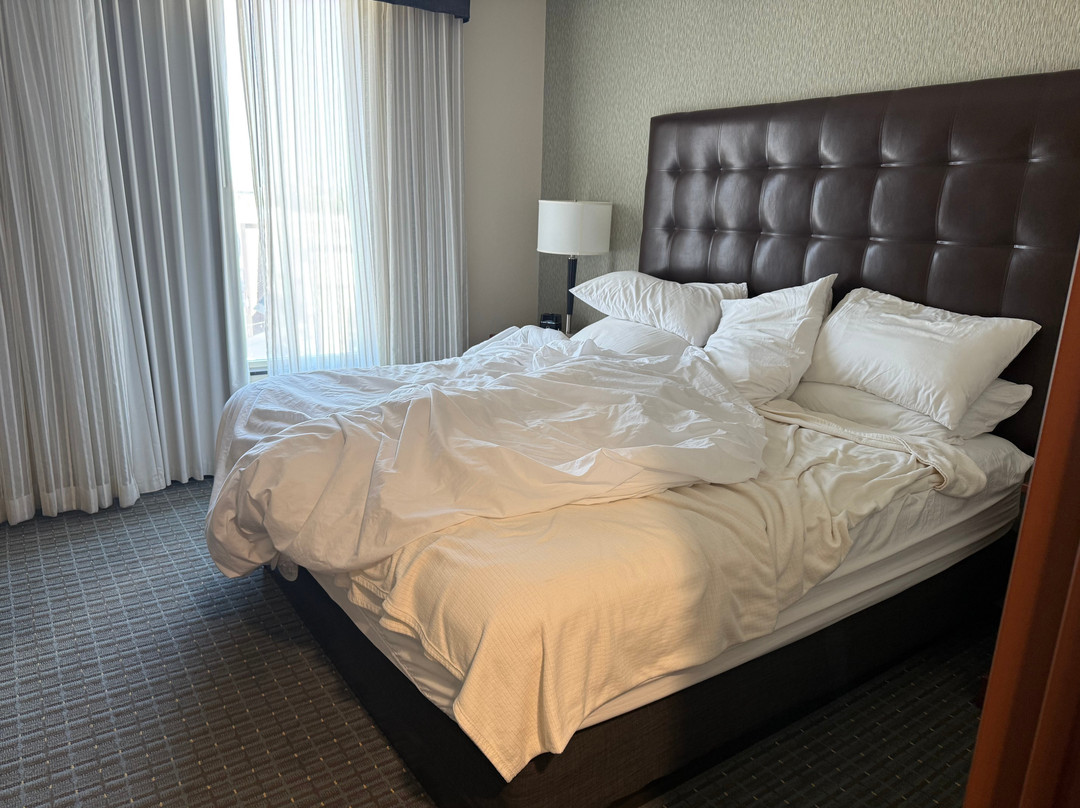 Drury Plaza Hotel St. Louis St. Charles主图