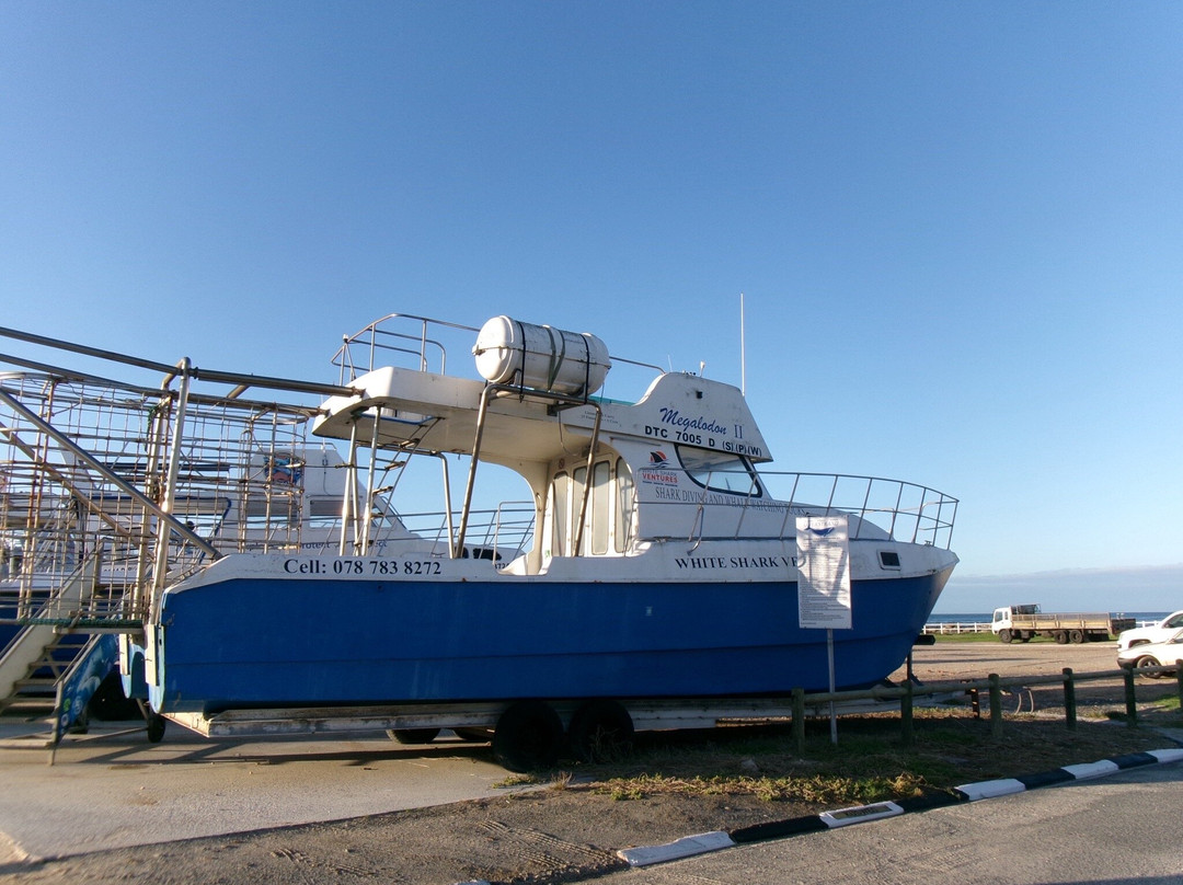 White Shark Ventures-Kleinbaai必去景点