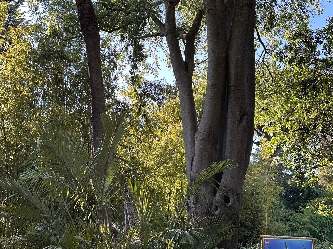 Parc Olbius-Riquier-耶尔必去景点