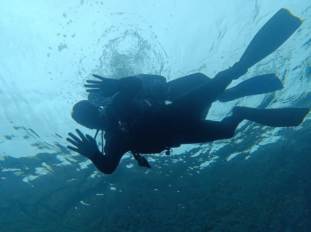 Cipreia Dive Club Porto Santo-Porto Santo Island必去景点