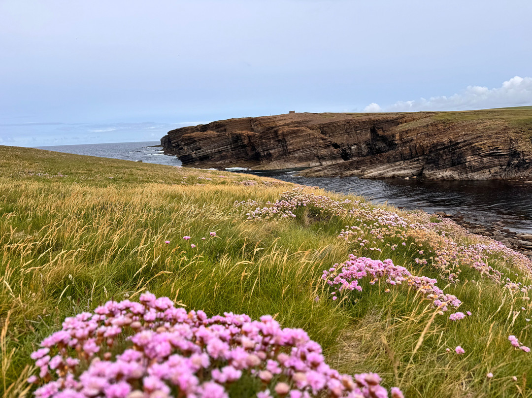 Yesnaby Cliffs-Stromness必去景点