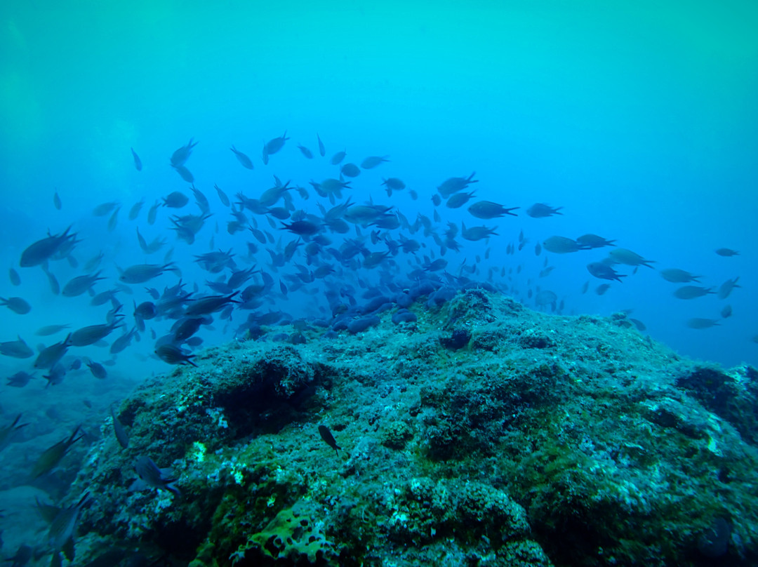 Argonauta Diving Resort-Rovies必去景点
