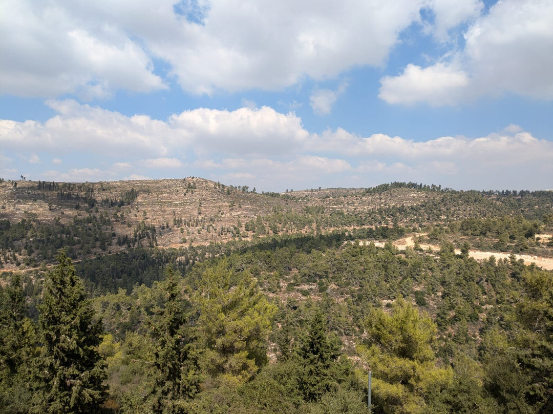 Logos Yad Hashmona主图