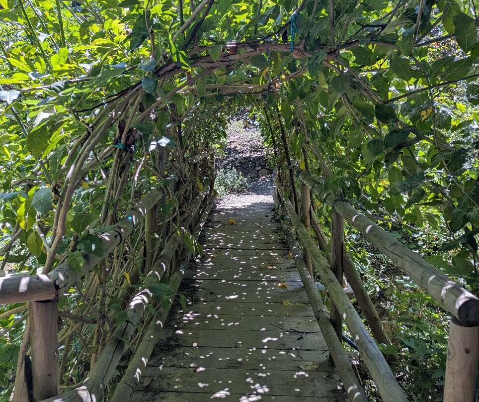 Botanical Park & Gardens of Crete-Omalos必去景点