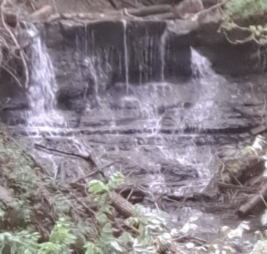 Bluestone State Park-Hinton必去景点