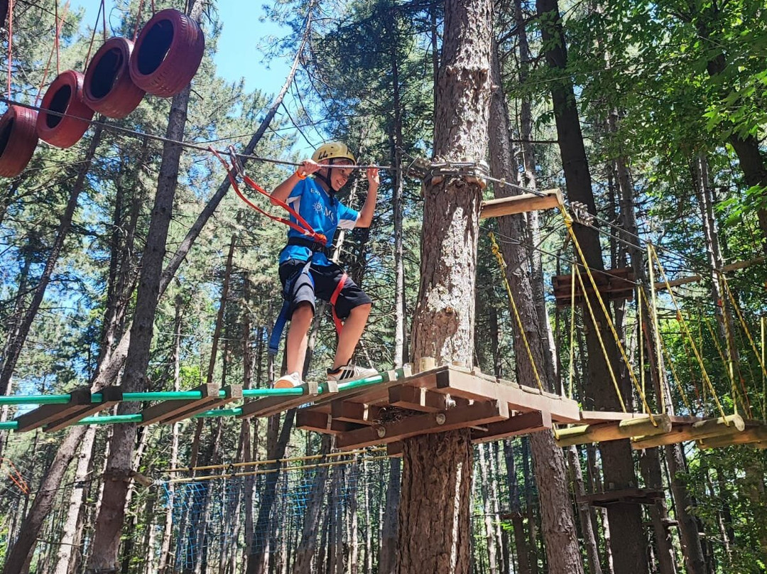 Parco Avventura Montevergine-Ospedaletto d'Alpinolo必去景点