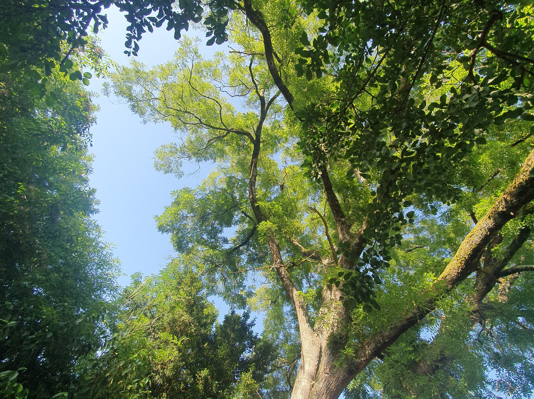 La Villa des Remparts主图