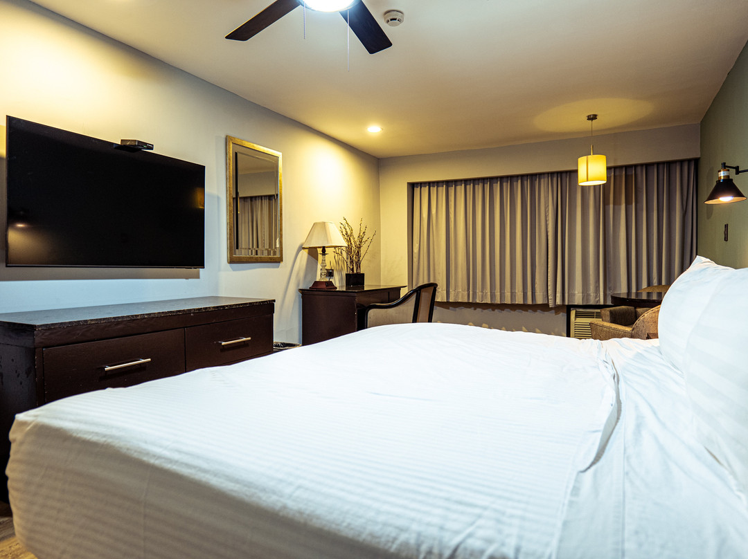 Plaza Inn Hotel主图