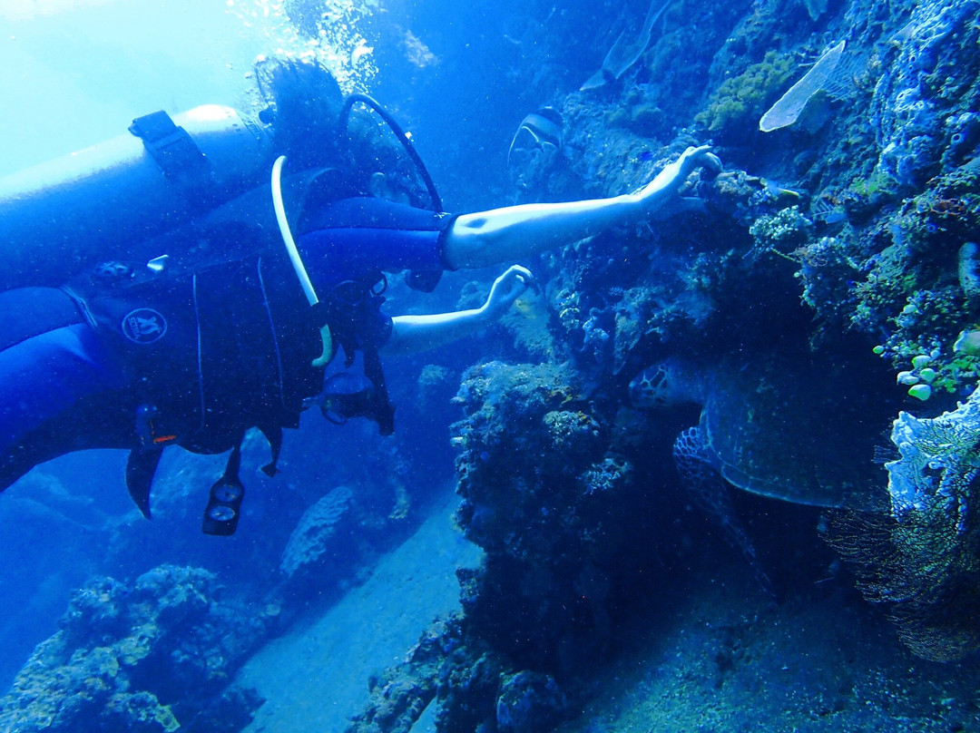 Baliedu Tours and Travel-苏卡瓦堤必去景点