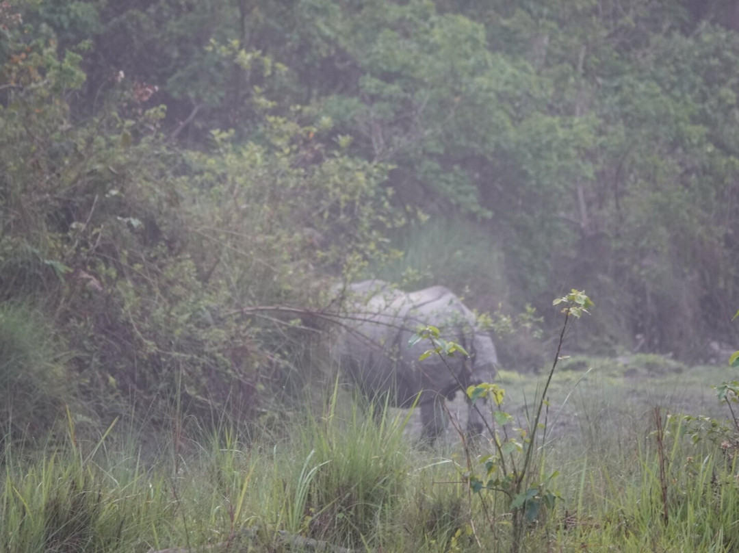Jaldapara National Park-Alipurduar District必去景点