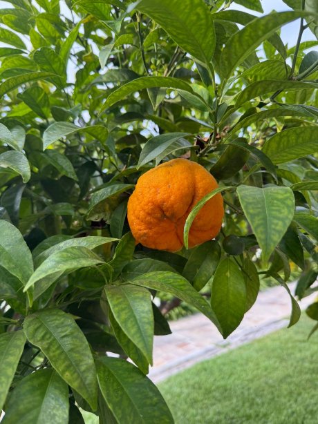 Villa Fabulite-官方