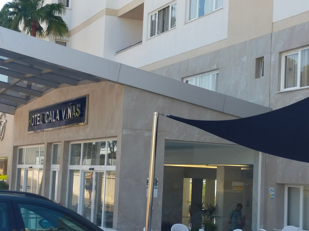 Globales Cala Viñas主图