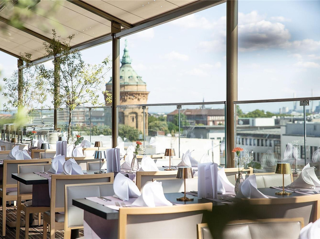 曼海姆酒店住宿-Radisson Blu Hotel, Mannheim