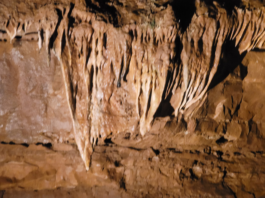 Indiana Caverns-Corydon必去景点
