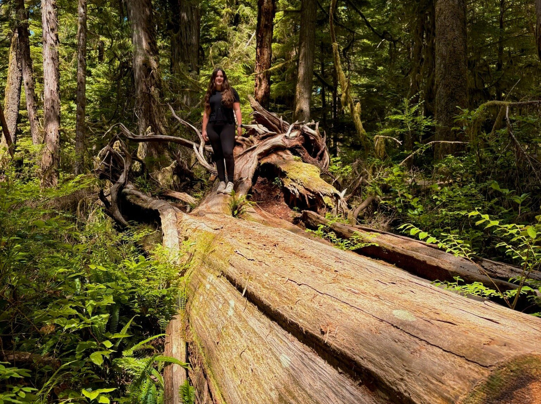 Rainforest Trail-托菲诺必去景点
